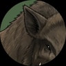 the boar